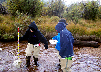 Help protect our creeks and river