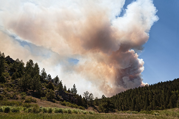 Smoke from a wildfire