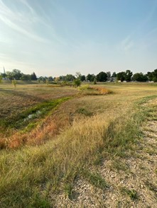 existing Glenmoor site