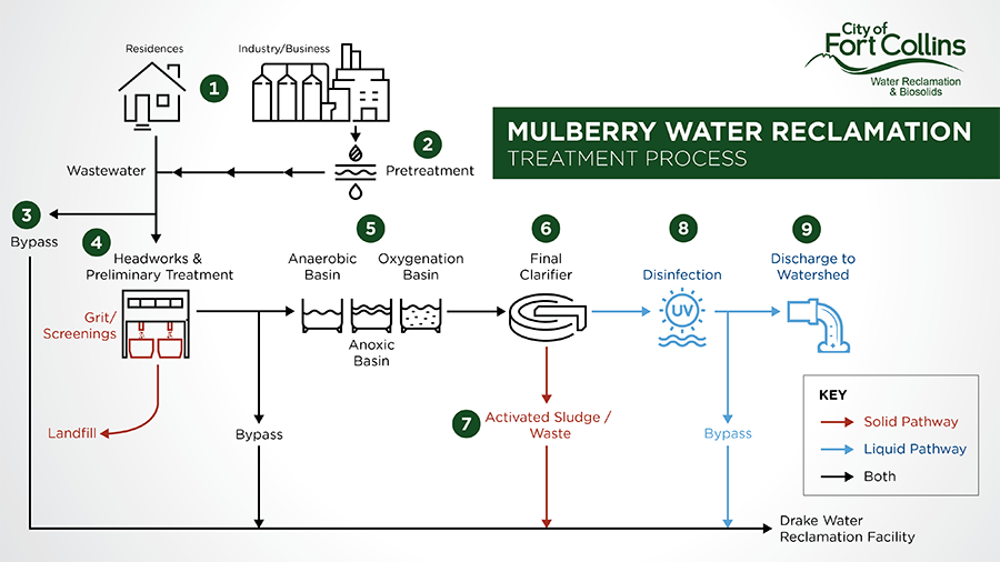 Step by step water reclmation process for the Mulberry Water Reclamation Faciltiy