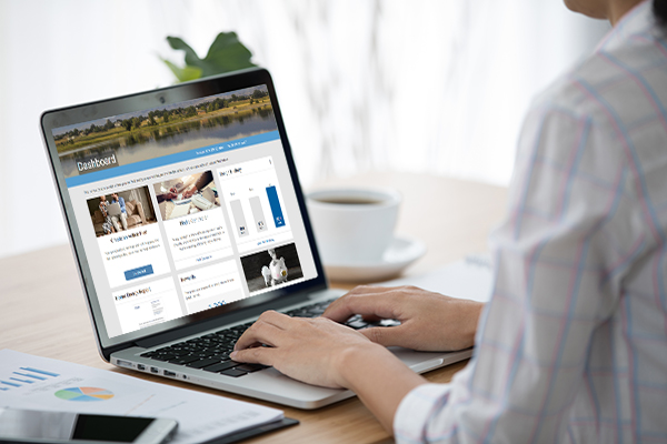 Epic Homes Webinar for Property Managers & Landlords