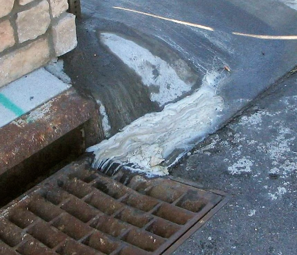 Grease from a restaurant in a storm drain