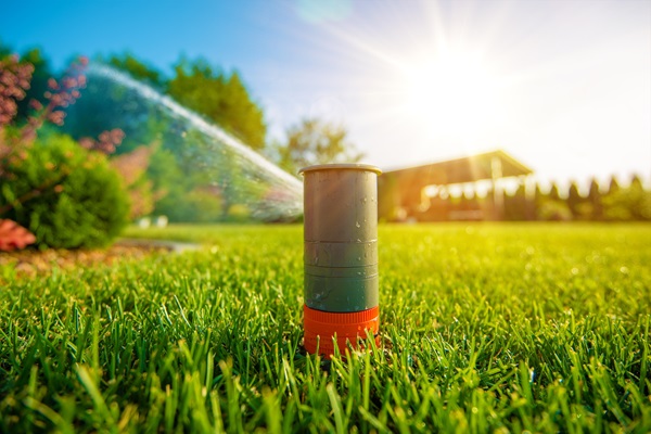 sprinkler checkups