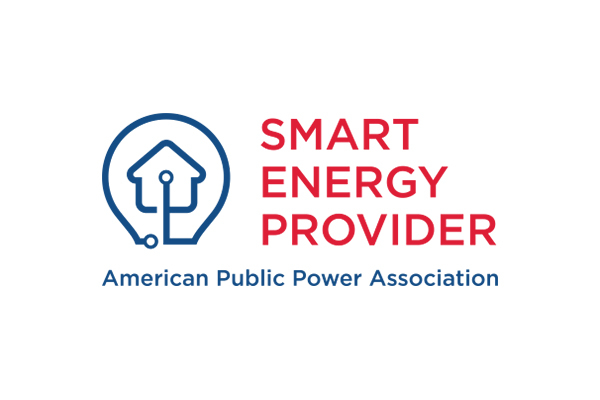 Smart Energy Provider