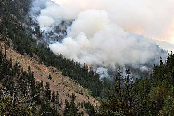 Smoke and flame from the Cameron Peak Fire on Hwy 14.