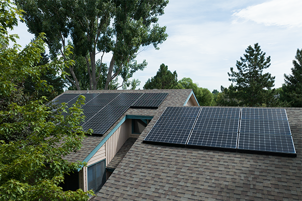 Trees alongside rooftop solar