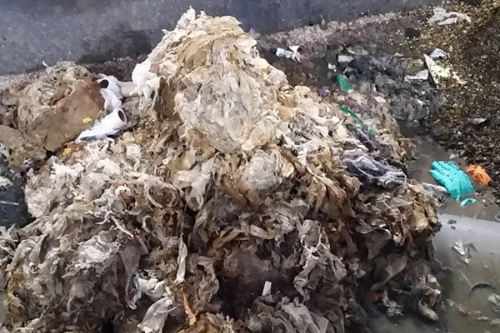 Waste found in sewer system