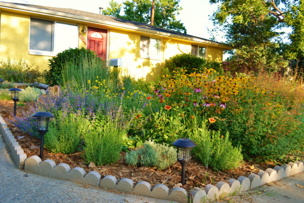Front yard converted into floral wonderland using Xeriscape!
