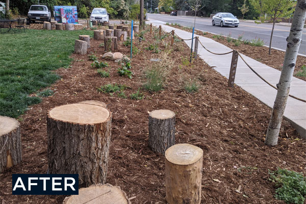 after photo at stodgy brewing, mulch and plants