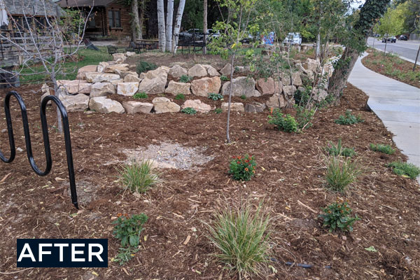 after photo at stodgy brewing, mulch and plants