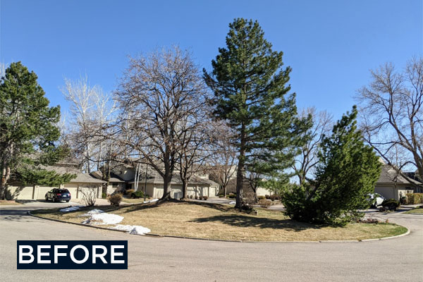 before photo at jamestown hoa, grass and trees