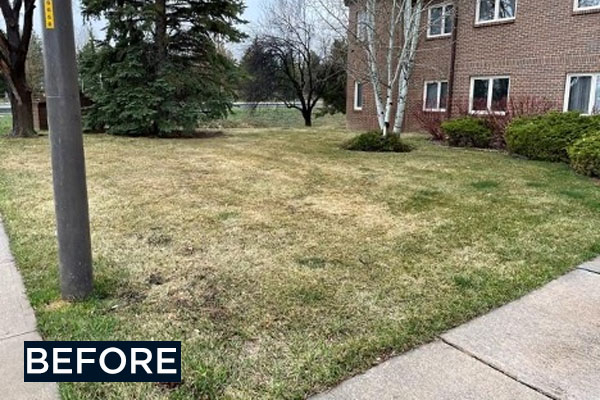 before photo at regency park condos, grass
