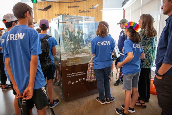 NextGenServes crew volunteers visiting the Museum of Discovery