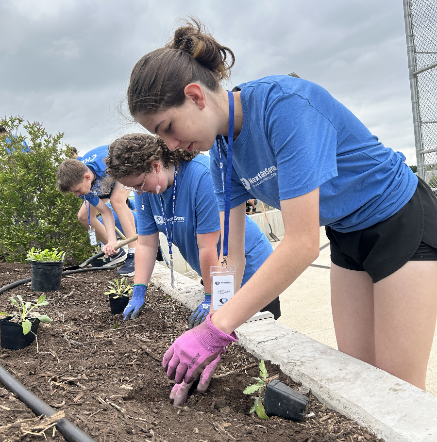Teens planting