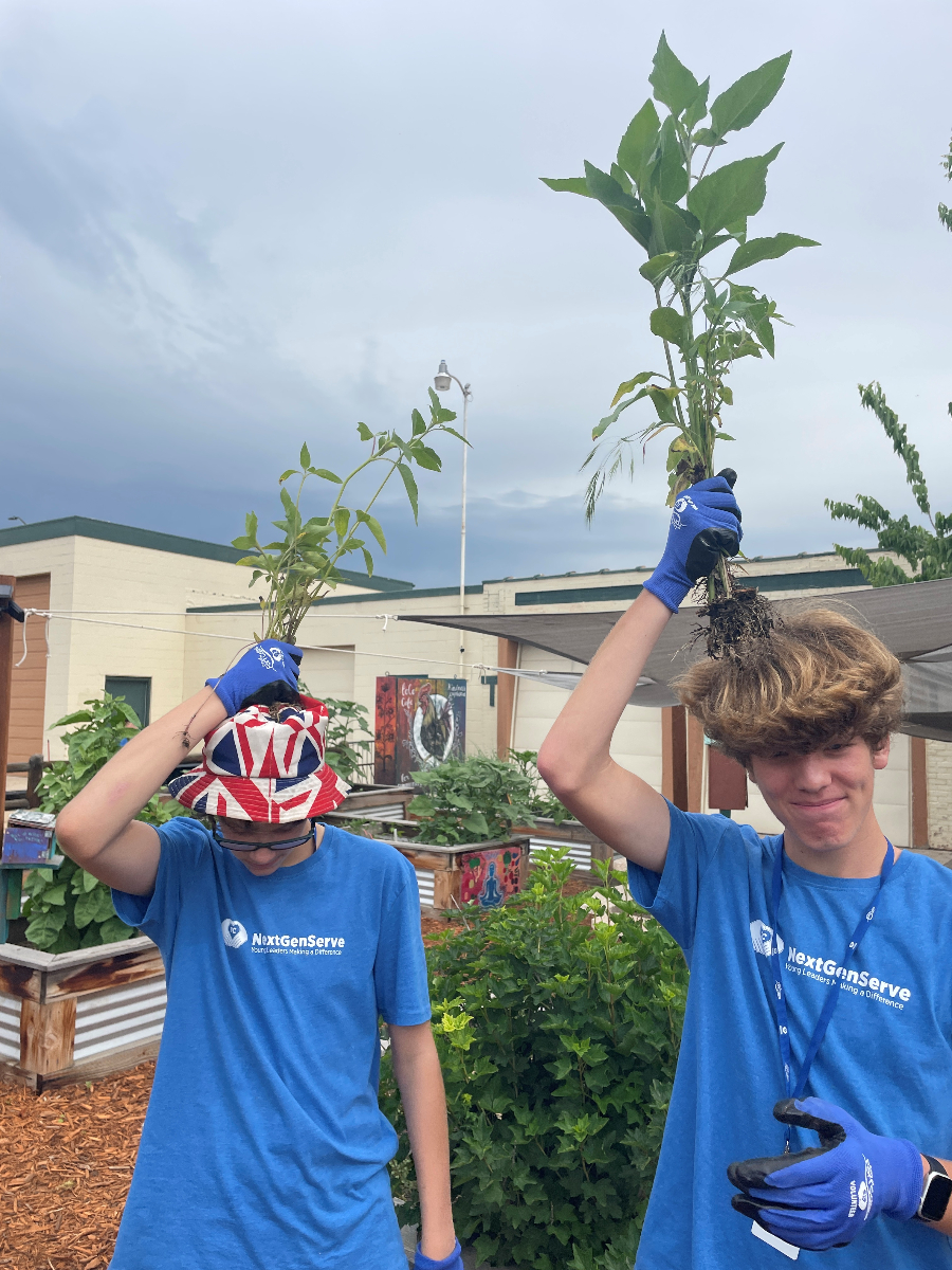 Two boys holding weeds above their heads.