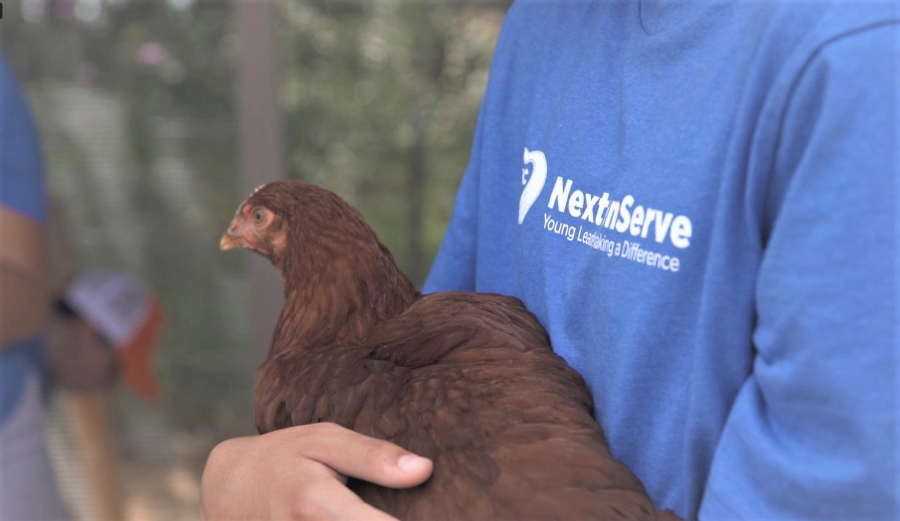 NextGenServes 2022 volunteer with a chicken at Lee Martinez Farm