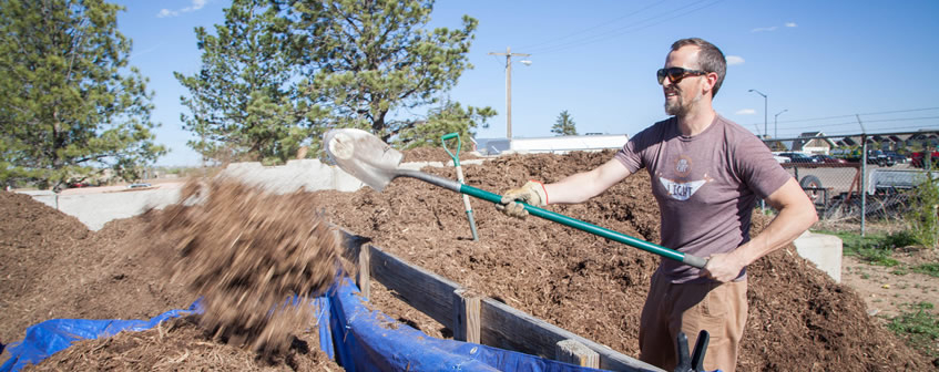 Volunteer shoveling dirt for an outdoor project.