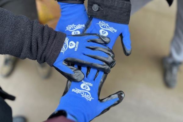 HR team huddle with matching volunteer gloves