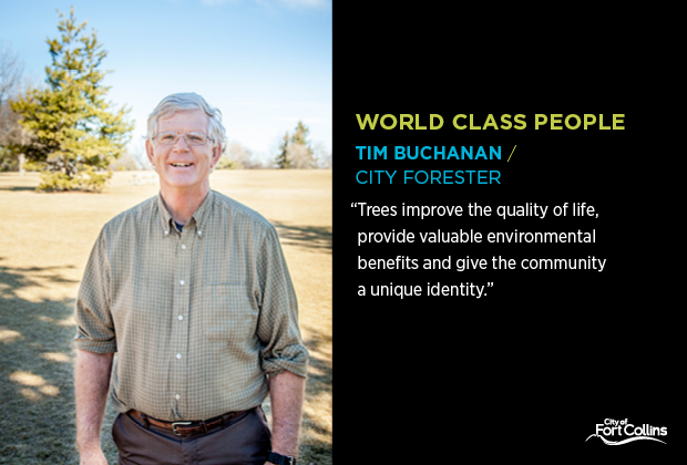 World Class Employee